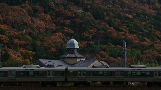 秋の安土を走る223系新快速 （東海道本線 安土 - 能登川, 2024年12月）