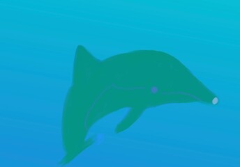 イルカ