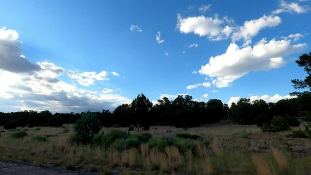 New Mexico Driving 1072 Datil Quemado