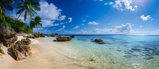 Tropical Beach Paradise with Palm Trees, Turquoise Water, White Sand, and Blue Sky
