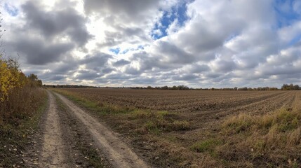 Fototapeta premium Serene Rural Landscape View