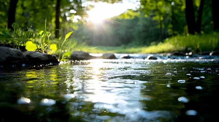 Crédence en verre imprimé Peaceful River in a Verdant Forest Bathed in Sunlight