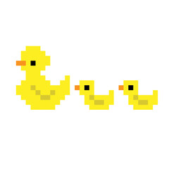 pixel ducks