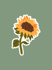 Sunflower. Floral vector illustration for sticker, logo, decor