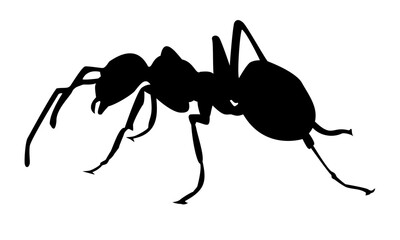 Worker ant silhouette