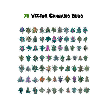 76 Cannabis Bud Icon Set Vector Illustrated - Complete Set Series 2