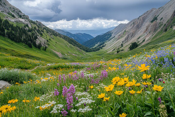 A Vibrant Alpine Meadow Explodes With Wildflowers, Painting A Breathtaking Panorama Against Majestic Mountain Peaks Under A Dramatic Sky
