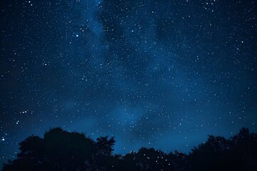 Naklejka premium Night Sky Stars Milky Way Over Silhouette Trees Dark Blue