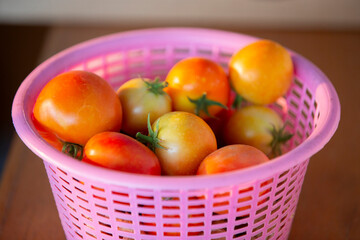 Tomatoes in a pink basket. 