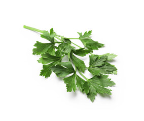 Sprig of fresh parsley isolated on white
