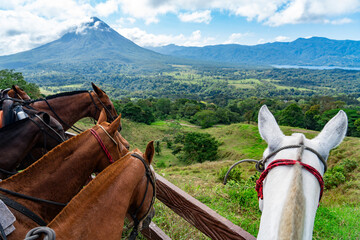 horses in front of the volcano © nd700
