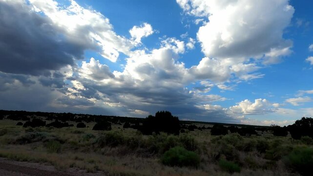 New Mexico Driving 1079 Datil Quemado