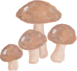 Fototapeta premium Close-up of brown edible mushrooms on white background
