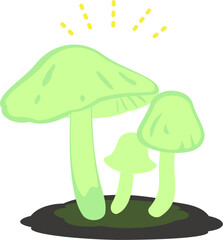 緑色に光るキノコ、ヤコウタケ