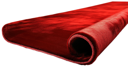 A red carpet with black metal posts and chains
