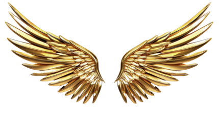 The wings of a golden bird are shown in full view, with the feathers spread out