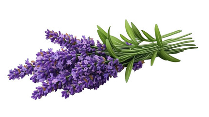 A bunch of purple lavender flowers