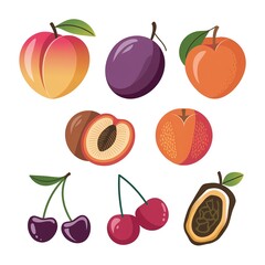 Illustration of various fruits including peaches, plums, and cherries