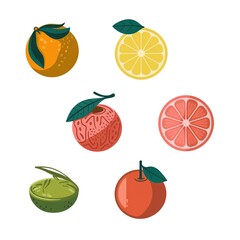 Colorful collection of various citrus fruits including orange, lemon, lime, and grapefruit