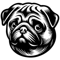 Pug | Domestic Animal | Peeking Dog | Cute Little Pug | Dog Lover | Peeking Animal | Cute Pug Face | Purebred | Original Illustration | Vector and Clipart | Cutfile and Stencil