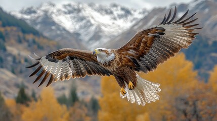 Majestic eagle soaring above autumnal mountains