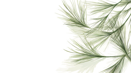 Close-up image of delicate green pine needles against a pure white background. The needles are sharply focused, showcasing their fine texture and linear structure. The image is brightly lit, with