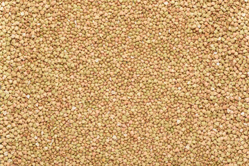 Background texture of buckwheat grains for making soba noodles, Japanese food.