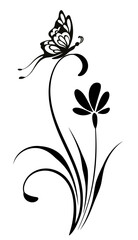 Wave ornament with flower, leaves and butterfly. Text divider. Decorative element for decor and text greeting or invitation card design.