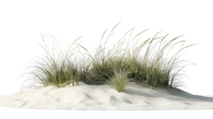 Papier peint photo Herbes des dunes Beach grass growing on white sand dune with transparent background  © Krtola 