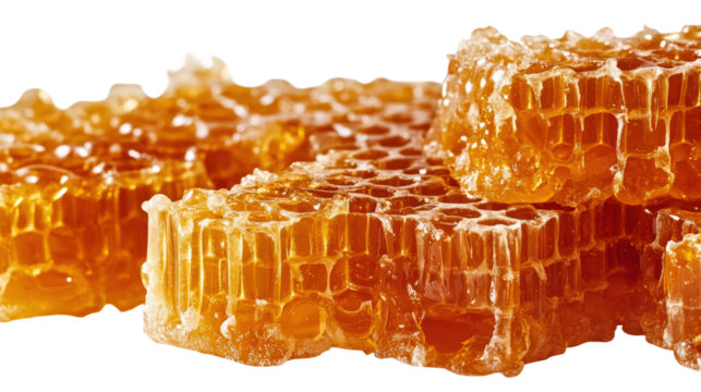 A close up of honeycomb honeycomb honeycomb honeycomb honeycomb