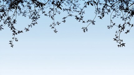 Silhouetted leaves and branches hanging against a soft blue sky