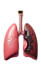 Diseased Lung Concept - Health and Smoking Effects Illustration
