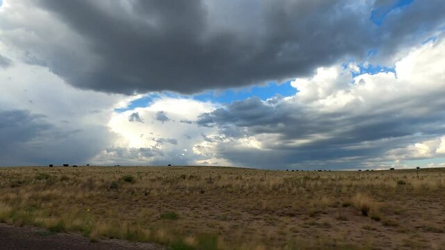 New Mexico Driving 1088 Datil Quemado