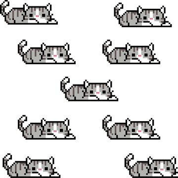 1 Bit Cat
