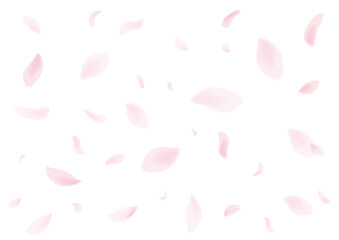 春の風に吹かれて舞い落ちる桜の花びら　背景切り抜きイラスト