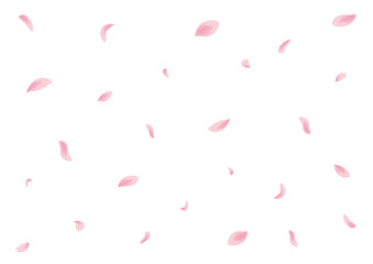 春の風に吹かれて舞い落ちる桜の花びら　背景切り抜きイラスト