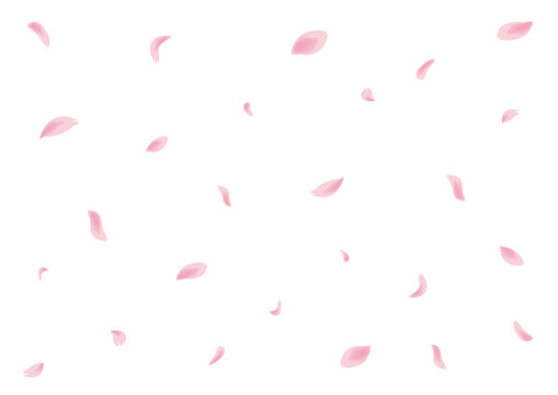 桜の花柄ピンク色打掛 キララシリーズはなびら、サクラ吹雪、 桜の花柄ピンク色打掛 キララシリーズはなびら、サクラ吹雪