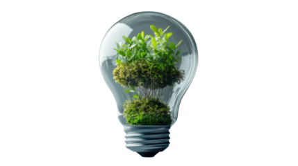 Light bulb protecting growing moss and plants promoting green energy and sustainability with transparent background