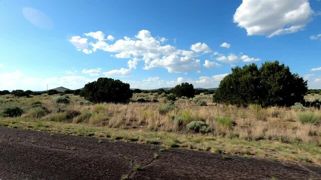 New Mexico Driving 1024 San Antonio Datil