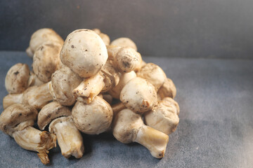 Fresh white mushrooms arranged on a textured surface for display