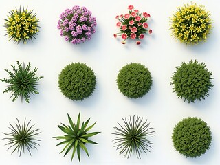 Aerial View of Assorted Ornamental Plants and Flowers for Landscaping Design
