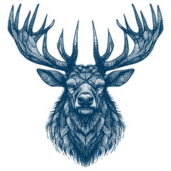 elk vector illustration