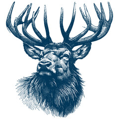 elk vector illustration