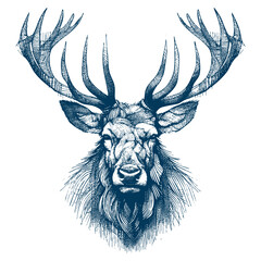 Obraz premium elk vector illustration