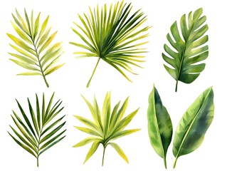 Fototapeta premium Watercolor Tropical Palm Leaves Set Green Yellow Botanical Illustration