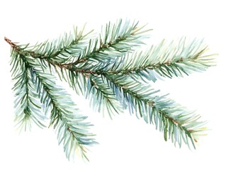 Watercolor Evergreen Branch  Christmas Pine  Winter Green