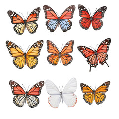 A collection of beautifully detailed butterflies each displaying its own vibrant colors and intricate wing patterns perfectly cut out and arranged in an composition against a clean