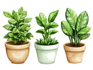 Obraz premium Watercolor Houseplants in Pots Green Foliage Home Decor