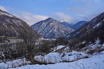 Talgar Gorge. The Tian Shan Mountains, an area with different vegetation.