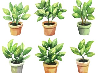 Obraz premium Watercolor Houseplants Six Potted Plants Green Foliage